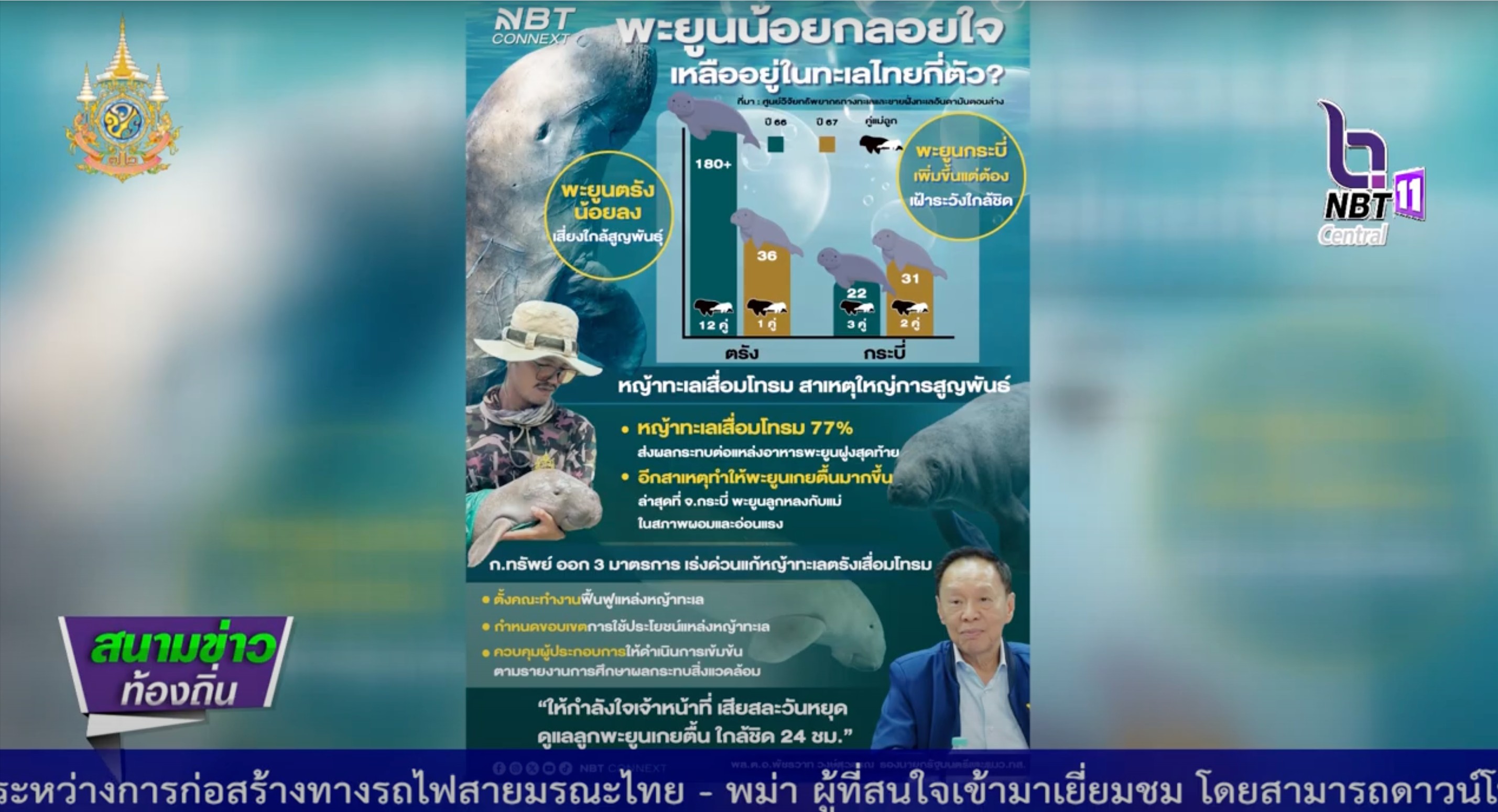 พะยูนน้อยกลอยใจ เหลืออยู่ในทะเลไทยกี่ตัว