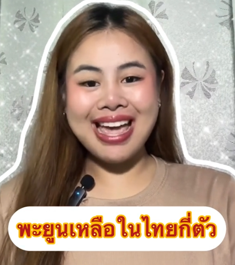 พะยูนเหลือในไทยกี่ตัว