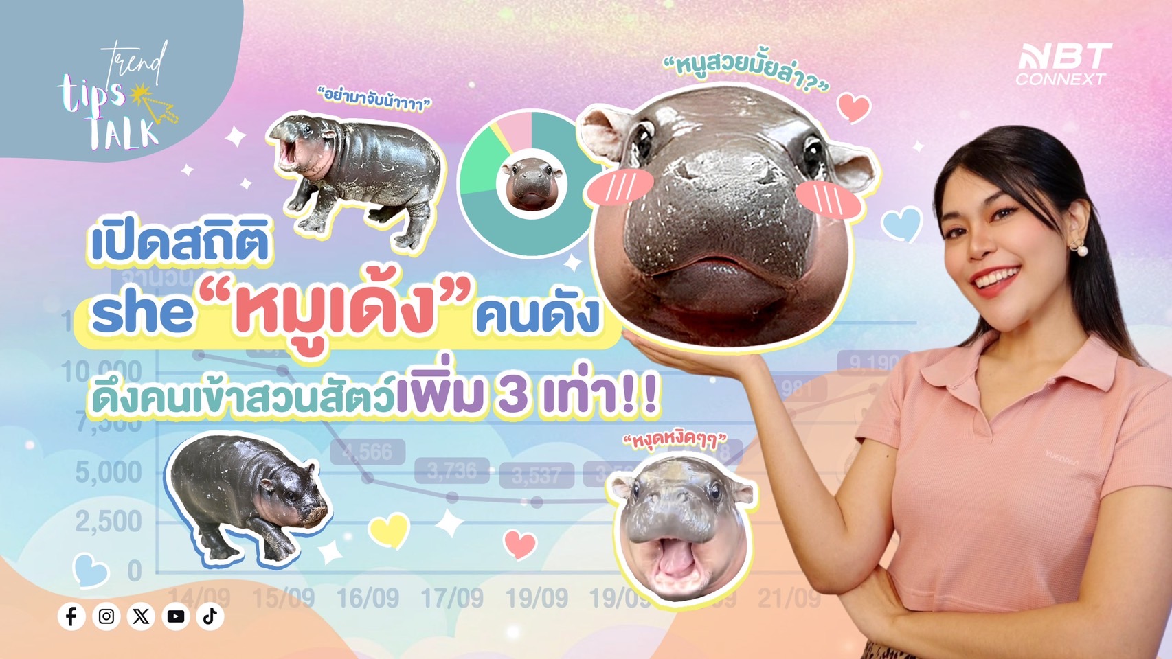 ความฮอต "หมูเด้ง" ส่งผลดีต่อสวนสัตว์อื่นในไทย 
